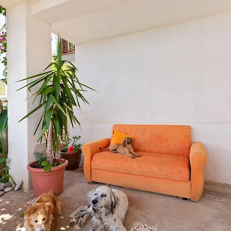 Bouganville * Falconara Albanese