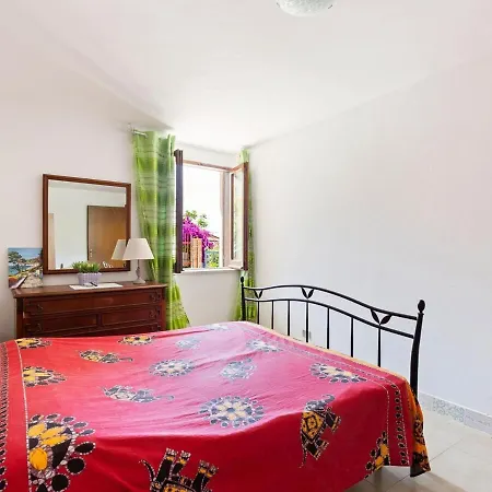 Bouganville * Falconara Albanese