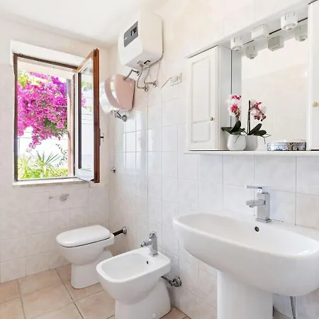 Bouganville Falconara Albanese